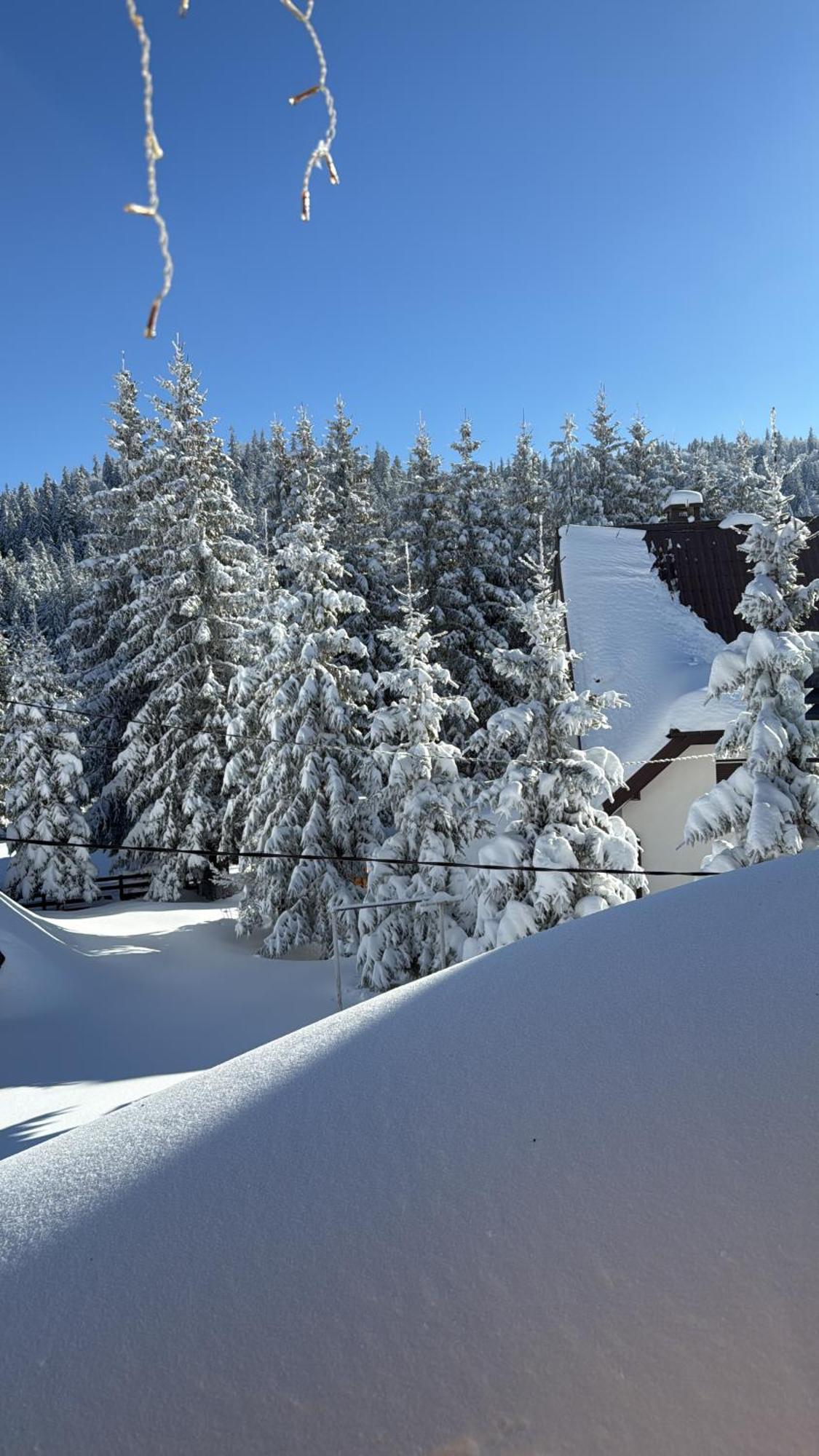 Guest House Alpha Ski Camp Jahorina Exterior photo